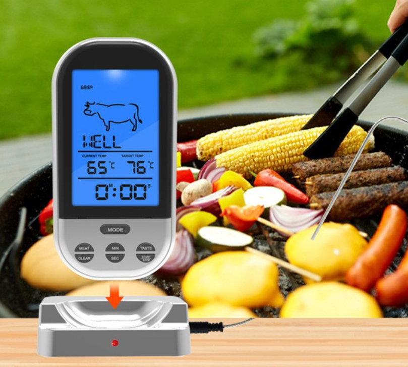 Wireless BBQ Thermometer(U4629185 private listing)